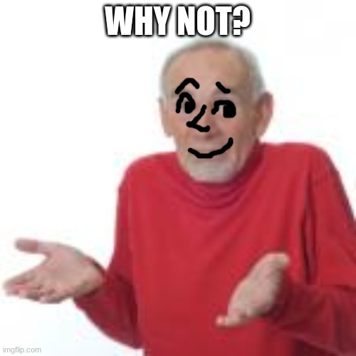 WHY NOT? | made w/ Imgflip meme maker