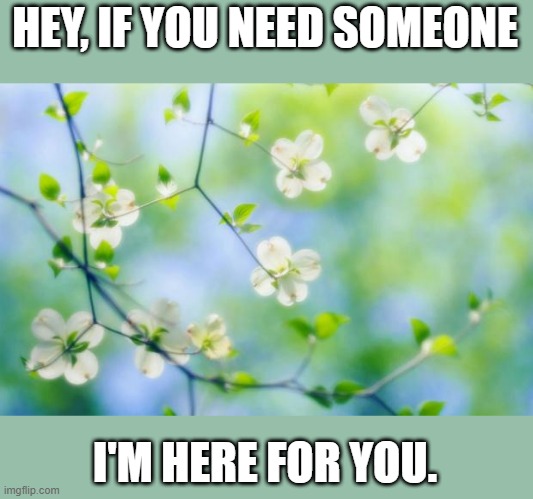 flowers | HEY, IF YOU NEED SOMEONE I'M HERE FOR YOU. | image tagged in flowers | made w/ Imgflip meme maker