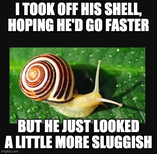sluggish |  I TOOK OFF HIS SHELL, HOPING HE'D GO FASTER; BUT HE JUST LOOKED A LITTLE MORE SLUGGISH | image tagged in snail | made w/ Imgflip meme maker