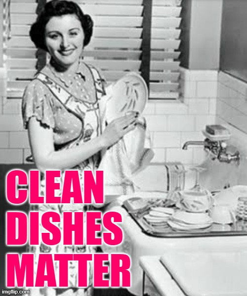 Clean Dishes Matter | CLEAN DISHES MATTER | image tagged in washing dishes,cleaning,housework,housewife,humor,black lives matter | made w/ Imgflip meme maker