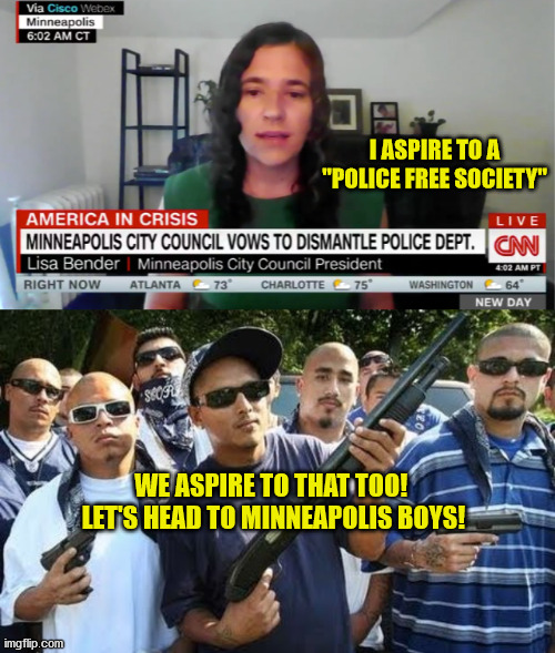 That's so sweet Princess!  Time for your nap now. | I ASPIRE TO A "POLICE FREE SOCIETY"; WE ASPIRE TO THAT TOO! 
LET'S HEAD TO MINNEAPOLIS BOYS! | image tagged in insanity,police good,liberal logic,gangsters,maga | made w/ Imgflip meme maker