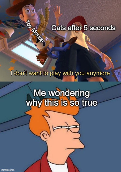 Cats after 5 seconds; Toy Mouse; Me wondering why this is so true | image tagged in memes,futurama fry,i don't want to play with you anymore | made w/ Imgflip meme maker