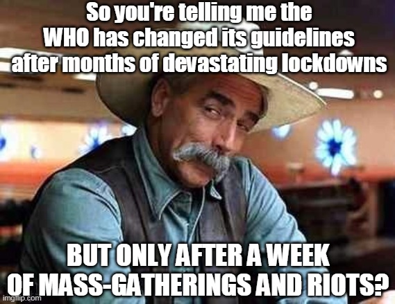 Asymptomatic Carriers | So you're telling me the WHO has changed its guidelines after months of devastating lockdowns; BUT ONLY AFTER A WEEK OF MASS-GATHERINGS AND RIOTS? | image tagged in who,the world health organization,lockdown,riots,msm,covid-19 | made w/ Imgflip meme maker