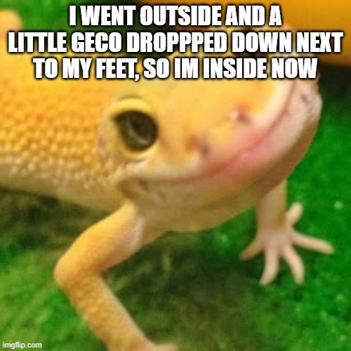 Yellow bongo geco | I WENT OUTSIDE AND A LITTLE GECO DROPPPED DOWN NEXT TO MY FEET, SO IM INSIDE NOW | image tagged in yellow bongo geco | made w/ Imgflip meme maker