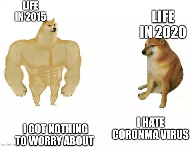 Buff Doge vs. Cheems | LIFE IN 2015; LIFE IN 2020; I GOT NOTHING TO WORRY ABOUT; I HATE CORONMA VIRUS | image tagged in buff doge vs cheems | made w/ Imgflip meme maker