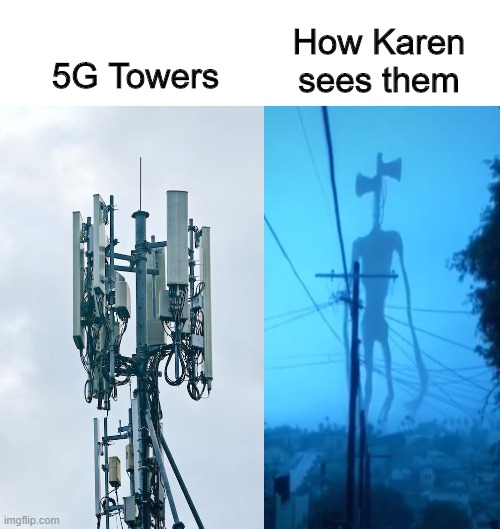 It's not just a meme, it's logic | How Karen sees them; 5G Towers | image tagged in memes | made w/ Imgflip meme maker
