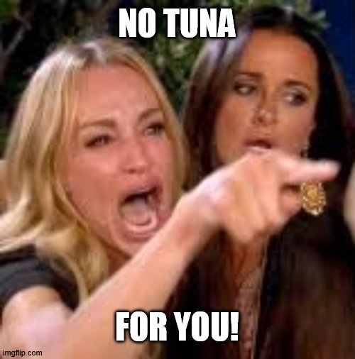 NO TUNA FOR YOU! | made w/ Imgflip meme maker