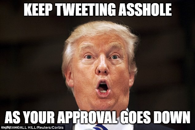 SUCH A BIGLY IMPEACHED LOSER! | KEEP TWEETING ASSHOLE; AS YOUR APPROVAL GOES DOWN | image tagged in twitter,donald trump is an idiot,impeached,loser,traitor | made w/ Imgflip meme maker