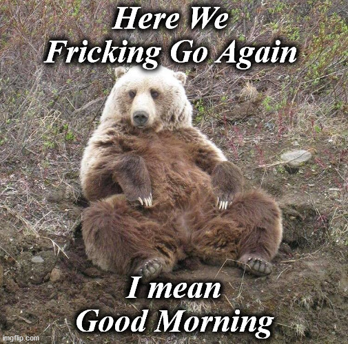 morning | Here We Fricking Go Again; I mean Good Morning | image tagged in morning | made w/ Imgflip meme maker