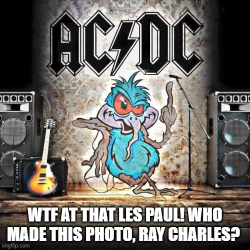 ac/dc | WTF AT THAT LES PAUL! WHO MADE THIS PHOTO, RAY CHARLES? | image tagged in ac/dc,rock and roll | made w/ Imgflip meme maker