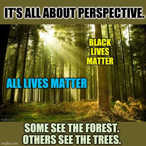 Which is why we all need each other. | IT'S ALL ABOUT PERSPECTIVE. SOME SEE THE FOREST. OTHERS SEE THE TREES. | image tagged in sunlit tree,black lives matter,all lives matter,blm,george floyd | made w/ Imgflip meme maker