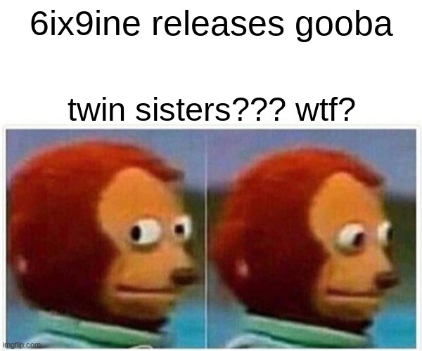 Monkey Puppet Meme | 6ix9ine releases gooba; twin sisters??? wtf? | image tagged in memes,monkey puppet | made w/ Imgflip meme maker