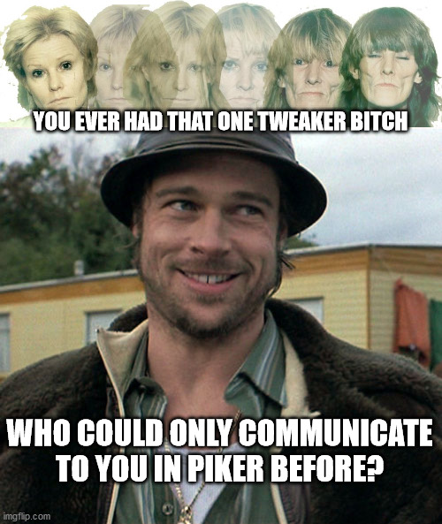 YOU EVER HAD THAT ONE TWEAKER BITCH; WHO COULD ONLY COMMUNICATE TO YOU IN PIKER BEFORE? | image tagged in snatch | made w/ Imgflip meme maker