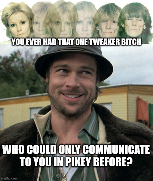 YOU EVER HAD THAT ONE TWEAKER BITCH; WHO COULD ONLY COMMUNICATE TO YOU IN PIKEY BEFORE? | image tagged in snatch | made w/ Imgflip meme maker
