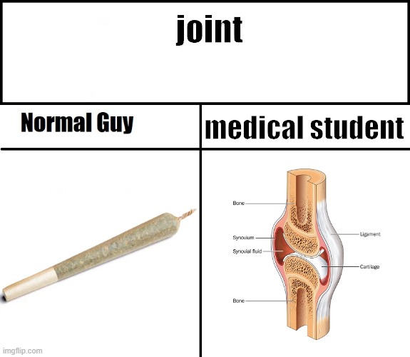 reality is relative | joint; medical student | image tagged in normal guy | made w/ Imgflip meme maker