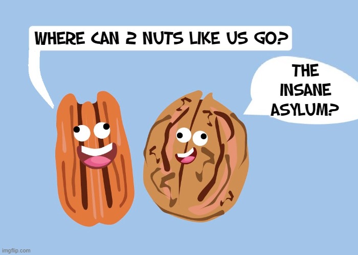 Nutty Jokes! |  THE INSANE ASYLUM? WHERE CAN 2 NUTS LIKE US GO? | image tagged in vince vance,walnut,pecan,nuts,insane asylum,memes | made w/ Imgflip meme maker