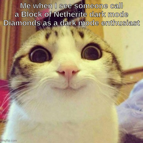 ree | Me when I see someone call a Block of Netherite dark mode Diamonds as a dark mode enthusiast | image tagged in memes,smiling cat | made w/ Imgflip meme maker
