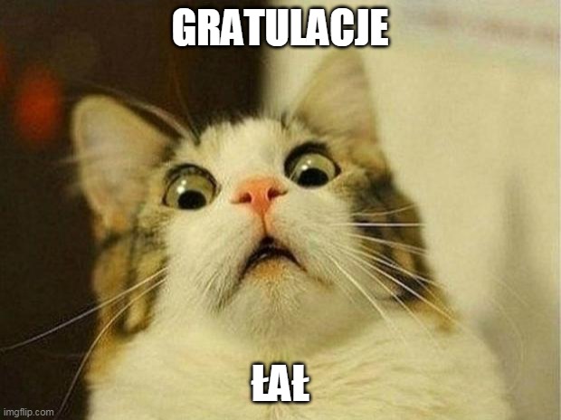 gratulacje | GRATULACJE; ŁAŁ | image tagged in memes,scared cat | made w/ Imgflip meme maker