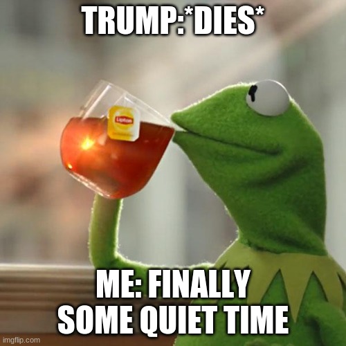 But That's None Of My Business Meme | TRUMP:*DIES*; ME: FINALLY SOME QUIET TIME | image tagged in memes,but that's none of my business,kermit the frog | made w/ Imgflip meme maker
