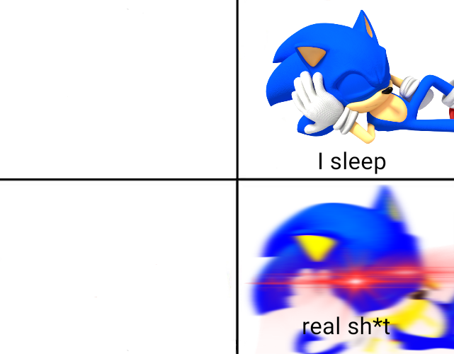 Sonic sleeps Blank Meme Template