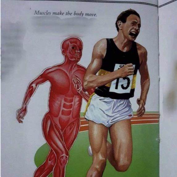 Muscles make the body move Blank Meme Template