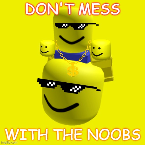 dont mess with the noobs | DON'T MESS; WITH THE NOOBS | image tagged in memes | made w/ Imgflip meme maker