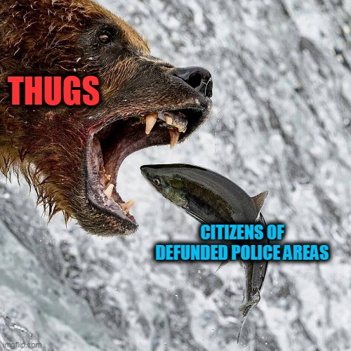 thug life | THUGS; CITIZENS OF DEFUNDED POLICE AREAS | image tagged in police,politics | made w/ Imgflip meme maker