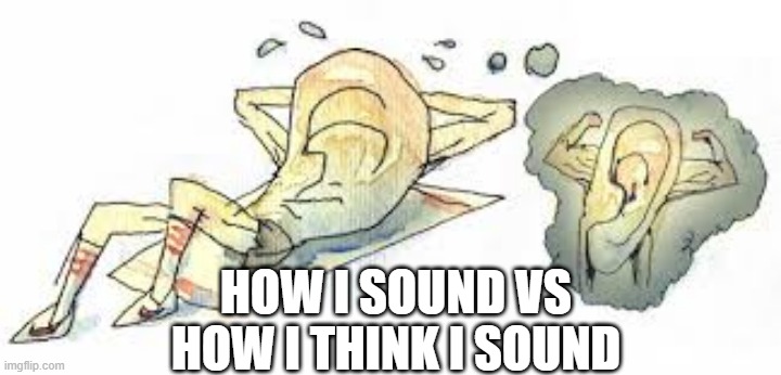 Chorus Sounds | HOW I SOUND VS HOW I THINK I SOUND | image tagged in choruspractice,chorusfun | made w/ Imgflip meme maker