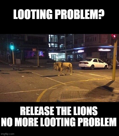 looters | LOOTING PROBLEM? RELEASE THE LIONS NO MORE LOOTING PROBLEM | image tagged in looters | made w/ Imgflip meme maker