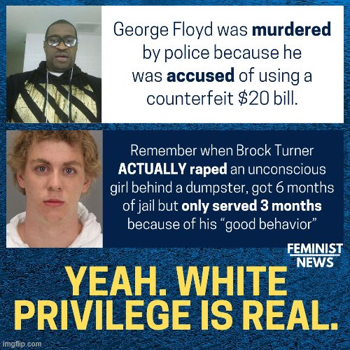 Oh yeah... George Floyd was sure a hardened criminal, alright (repost) | image tagged in white privilege,brock turner,racism,police brutality,repost,racist | made w/ Imgflip meme maker