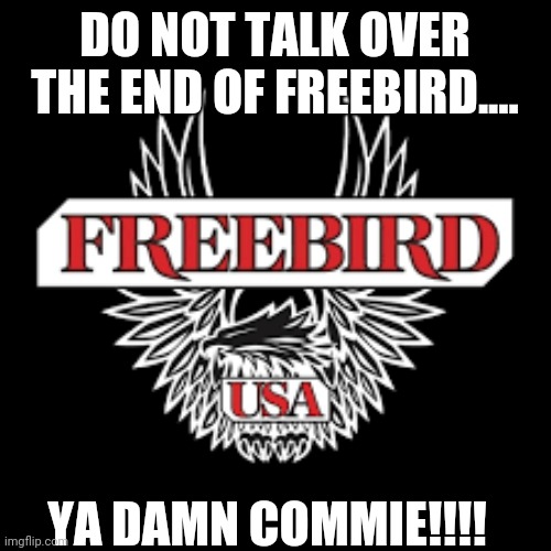 DO NOT TALK OVER THE END OF FREEBIRD.... YA DAMN COMMIE!!!! | image tagged in rock and roll | made w/ Imgflip meme maker