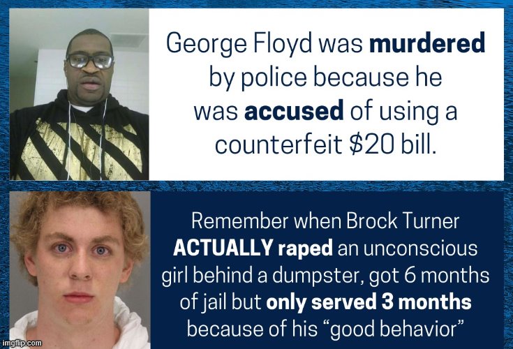 When they object to turning George Floyd into a martyr because he passed counterfeit $20s (allegedly). | image tagged in brock turner,rape,white privilege,conservative logic,rapist,police brutality | made w/ Imgflip meme maker