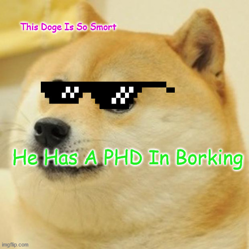 Smort Doge | This Doge Is So Smort; He Has A PHD In Borking | image tagged in memes,doge | made w/ Imgflip meme maker