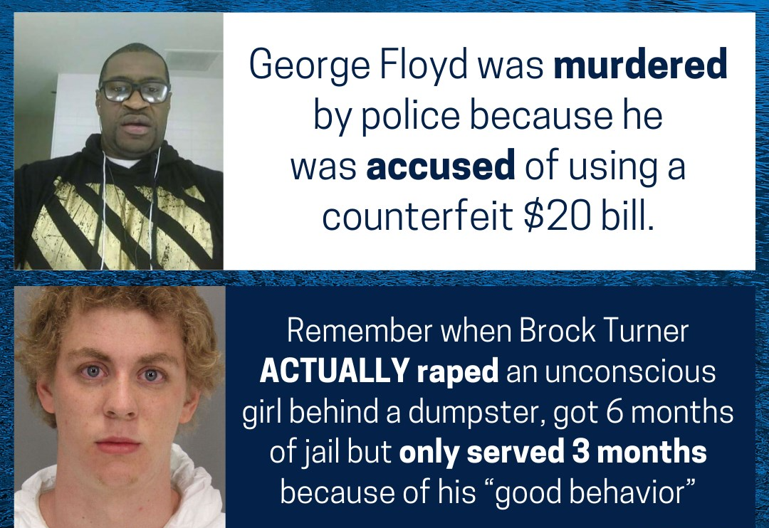 Brock Turner vs. George Floyd comparison Blank Meme Template