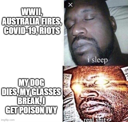 2020 in a  nutshell | WWII, AUSTRALIA FIRES, COVID-19, RIOTS; MY DOG DIES, MY GLASSES BREAK, I GET POISON IVY | image tagged in i sleep real shit | made w/ Imgflip meme maker
