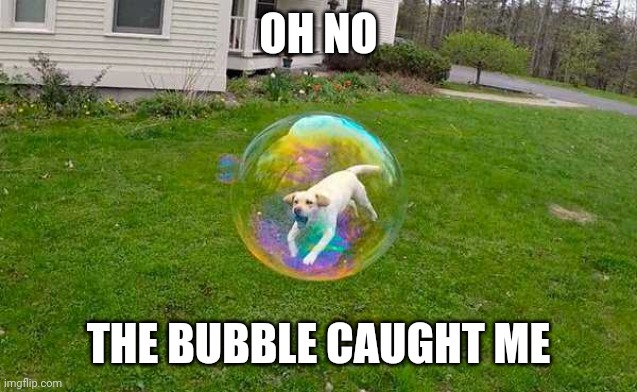DOGGY GONNA FLOAT AWAY | OH NO; THE BUBBLE CAUGHT ME | image tagged in dogs,optical illusion | made w/ Imgflip meme maker