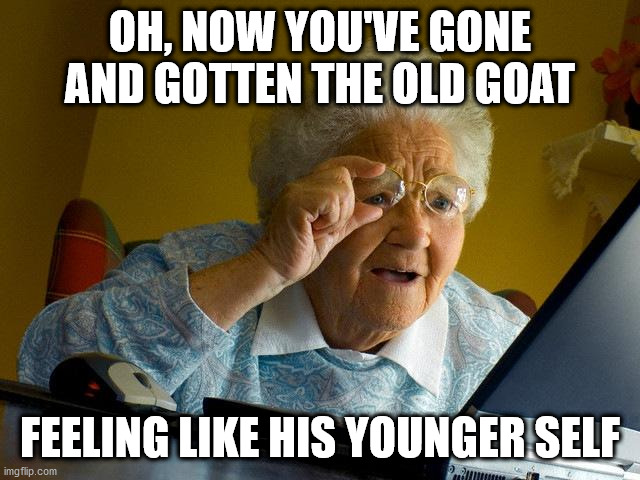 Grandma Finds The Internet Meme | OH, NOW YOU'VE GONE AND GOTTEN THE OLD GOAT FEELING LIKE HIS YOUNGER SELF | image tagged in memes,grandma finds the internet | made w/ Imgflip meme maker