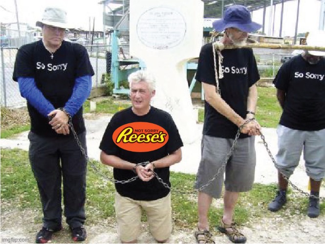 Not sorry. Reese's. | image tagged in not sorry,reese's,memes,chains,liberals | made w/ Imgflip meme maker