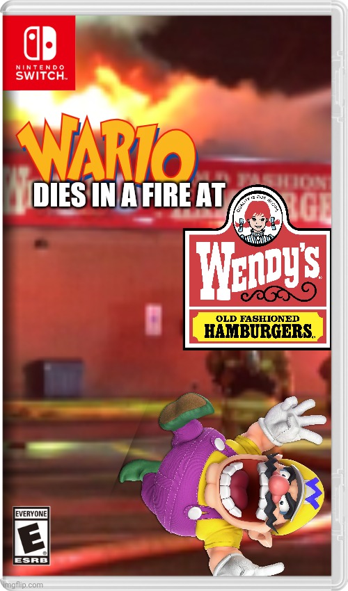 He got roasted, LITERALLY | DIES IN A FIRE AT | image tagged in wario,wario dies,wendy's,fake switch games,memes | made w/ Imgflip meme maker