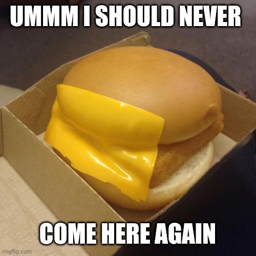 You had ONE job | UMMM I SHOULD NEVER; COME HERE AGAIN | image tagged in you had one job | made w/ Imgflip meme maker
