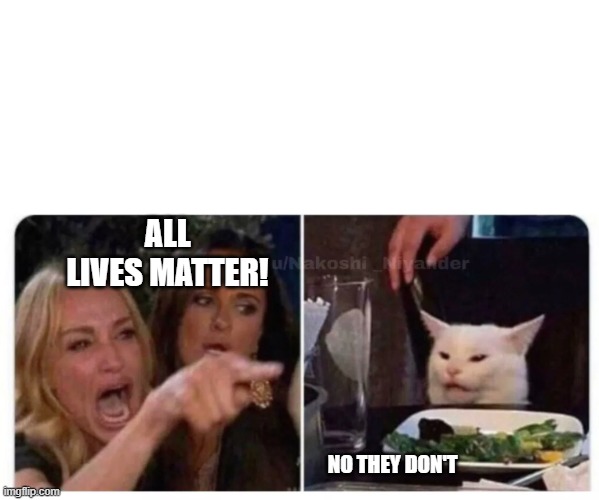 All Lives Matter | ALL LIVES MATTER! NO THEY DON'T | image tagged in women crying puzzled cat | made w/ Imgflip meme maker