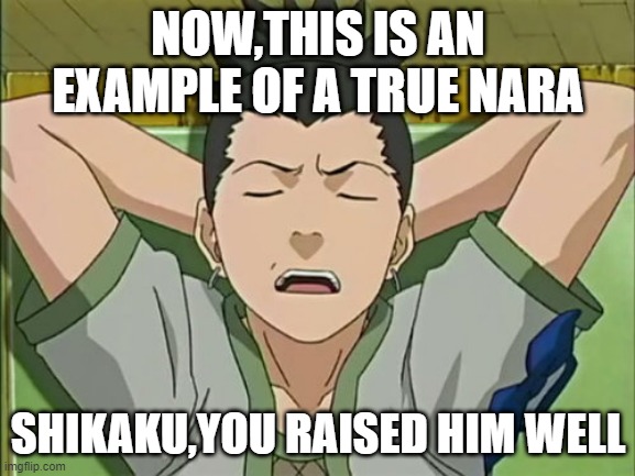 shikamaru | NOW,THIS IS AN EXAMPLE OF A TRUE NARA; SHIKAKU,YOU RAISED HIM WELL | image tagged in shikamaru | made w/ Imgflip meme maker