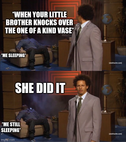 Who Killed Hannibal | *WHEN YOUR LITTLE BROTHER KNOCKS OVER THE ONE OF A KIND VASE*; *ME SLEEPING*; SHE DID IT; *ME STILL SLEEPING* | image tagged in memes,who killed hannibal | made w/ Imgflip meme maker