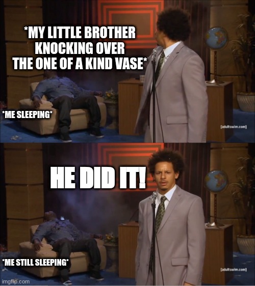 Its so true tho | *MY LITTLE BROTHER KNOCKING OVER THE ONE OF A KIND VASE*; *ME SLEEPING*; HE DID IT! *ME STILL SLEEPING* | image tagged in memes,who killed hannibal | made w/ Imgflip meme maker
