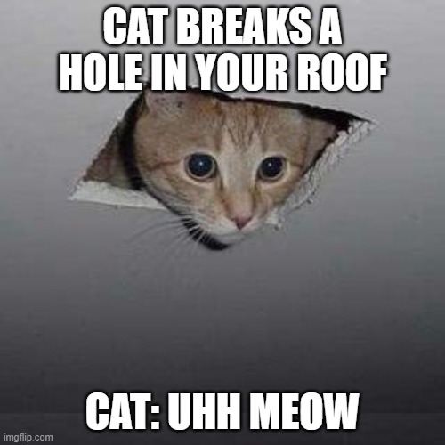 uhh meow | CAT BREAKS A HOLE IN YOUR ROOF; CAT: UHH MEOW | image tagged in memes,ceiling cat | made w/ Imgflip meme maker