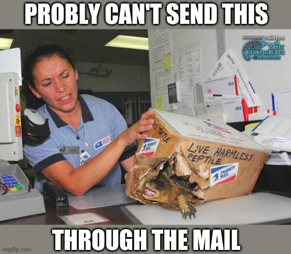 NOPE | PROBLY CAN'T SEND THIS; THROUGH THE MAIL | image tagged in nope,fail,mail | made w/ Imgflip meme maker
