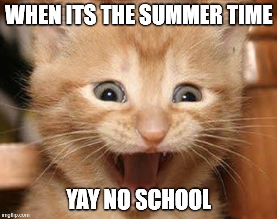 happy students | WHEN ITS THE SUMMER TIME; YAY NO SCHOOL | image tagged in memes,excited cat | made w/ Imgflip meme maker