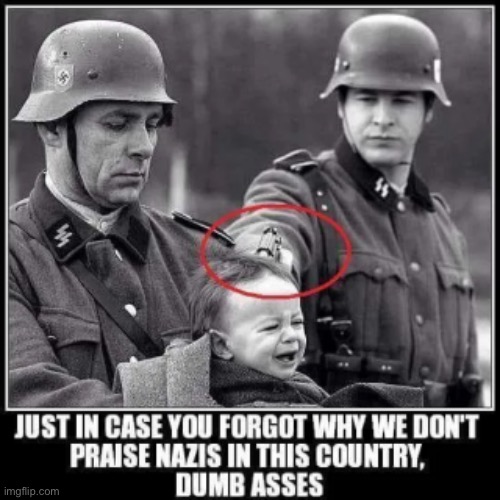 You will never meet a Nazi that doesn’t deserve to be punched in the face or worse | image tagged in never again | made w/ Imgflip meme maker