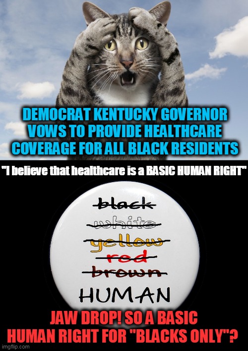 We Are ALL Human, Governor Beshear! | DEMOCRAT KENTUCKY GOVERNOR VOWS TO PROVIDE HEALTHCARE COVERAGE FOR ALL BLACK RESIDENTS; "I believe that healthcare is a BASIC HUMAN RIGHT"; JAW DROP! SO A BASIC HUMAN RIGHT FOR "BLACKS ONLY"? | image tagged in politics,political meme,democrats,republicans,racism,liberalism | made w/ Imgflip meme maker