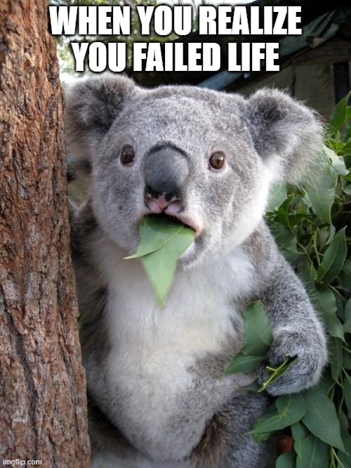 This Koala gets me | WHEN YOU REALIZE YOU FAILED LIFE | image tagged in memes,surprised koala | made w/ Imgflip meme maker